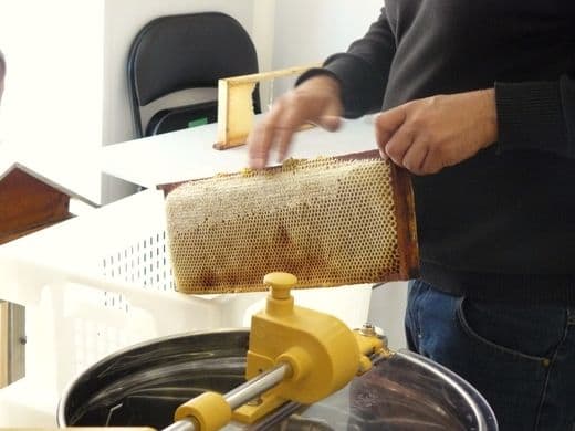 Un cadre de miel désoperculé au-dessus de l'extracteur.
