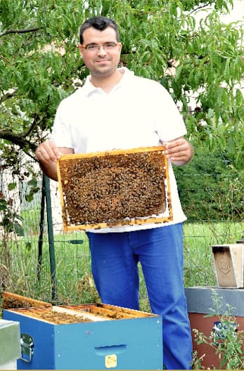Florent Guillaud, souriant, tient un cadre couvert d'abeilles devant les ruches.